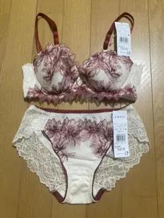 アンフィ　デイアップブラ　セット