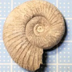 ねね様 リクエスト 3点 まとめ商品