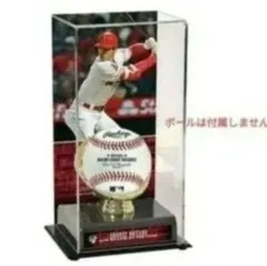 Item thumbnail for item 3989508f-b16e-4209-939a-6c90b5a8de8b