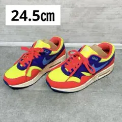 NIKEiD エアマックス1 マルチカラー 24.5cm レアカラー スニーカー