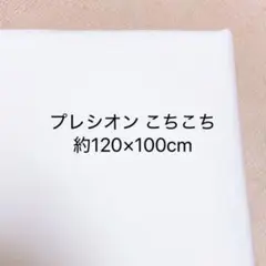 らくに貼れるプレシオン芯地 こちこちらくはり 中厚〜厚手 ハードタイプ