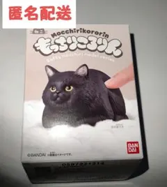 Item thumbnail for item b4e93904-c1f1-4294-8a36-fce8727b2e93