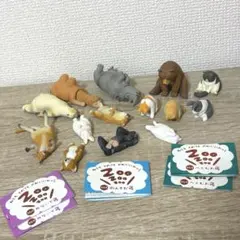 zoozoozoo ガチャガチャ まとめ売り　14個セット