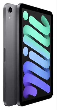 iPad mini 6 Wi-Fi+Cellar 256GB MK8K3J/A