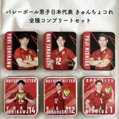 キャラポトレ バレーボール男子日本代表 全24種フルコンプリート 
