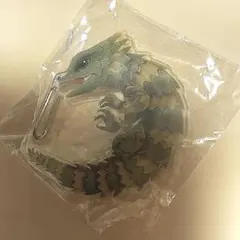 トカゲ好きのカラビナ アルマジロトカゲ
