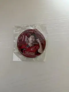 田川亨介 ガチャ商品