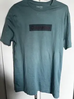 Calvin Klein ロゴ Tシャツ S 青緑