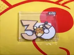 パモ パモット パーモット ポケモン 30周年 マグネット - メルカリ