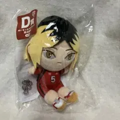 【匿名配送】ハイキュー　ぬいもっちマスコット　孤爪研磨