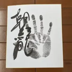 朝紅龍サイン入り手形　高砂部屋