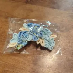 Item thumbnail for item 1d138007-dc96-4352-be7b-7845ccf4630e