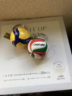 バレーボールキーホルダー2個