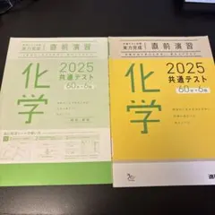 共通テスト対策実力完成 直前演習 2025 化学
