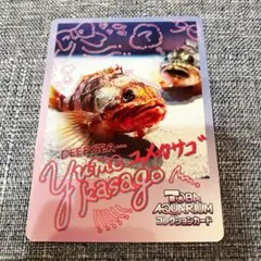 鳥羽水族館 コレクションカードVol.2 セイウチ - メルカリ