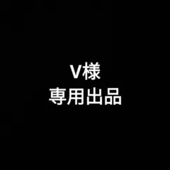 V様専用出品