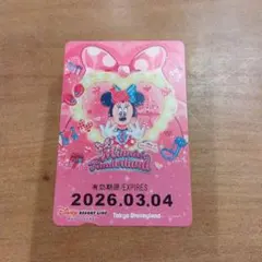 リゾラ　ミニー　チケット　ディズニー　パルパル