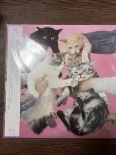 きのこ帝国 レコード 3点セット　猫とアレルギー　タイムラプス 3タイトル同時購入特典付セット】 猫とアレルギー ＋ 愛のゆくえ