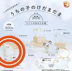 うちの子のけだまだま　犬のけだまだま　『柴犬』