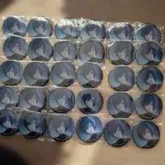 プロセカ KAITO vol.33 A グリッター 缶バッジ 30点