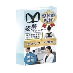 姿勢サポーター 姿勢 ベルト 猫背 痛くなりにくい素材 男女兼用