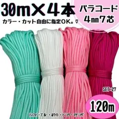 Item thumbnail for item eea29b9e-fd3c-4e48-878f-ce20a95c94f6