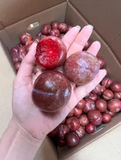 SALE: 奄美産完熟 すもも10キロ加工用クール便 - メルカリ