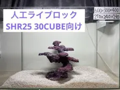 2025年最新】ライブロックレプリカの人気アイテム - メルカリ