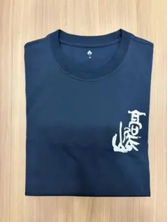 Item thumbnail for item 3a05411e-a33d-48f0-858b-833ca6ca6815