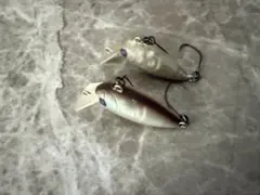ウッサXS エリアトラウト