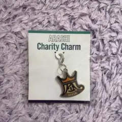 【新品未開封】嵐 Beautiful WorldチャリティーチャームARASHI