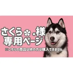 ステ12◯● さくら✿.様専用ページ●◯