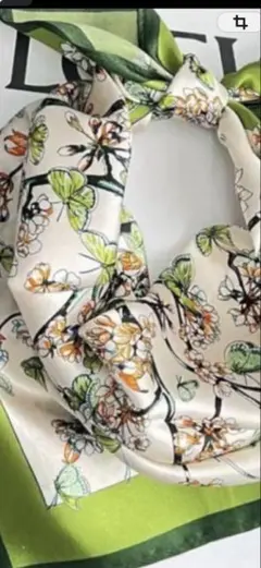 Item thumbnail for item 6b6c01be-ad0d-436f-91cb-6c7e208e42ff