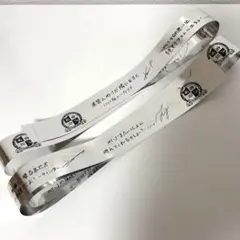 aespa ペンミ FANMEETING CLASSMaeTE 銀テ 2本セット