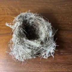 Item thumbnail for item 4410550a-0133-4f56-ae18-7854f2eaf362