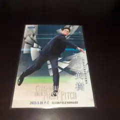 Item thumbnail for item ea504443-e1de-4b8d-bd2f-32764f22abb4