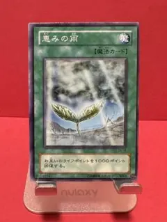 恵みの雨　枠ズレ