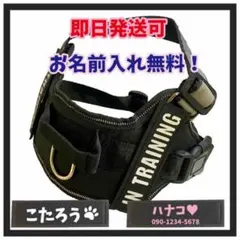 Item thumbnail for item dc7b7696-8b4d-4917-add1-84dddd8d4b1b