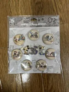 東京ディズニーリゾート 35周年 缶バッチセット ピンバッジ付き