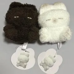 Item thumbnail for item 3bee2932-402f-44f8-992c-442c87aa042f