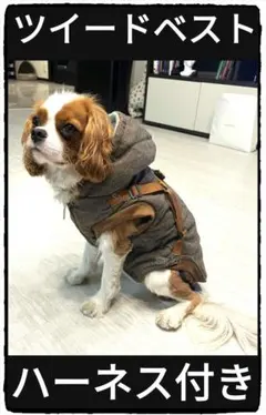 Item thumbnail for item eb1c0f5d-a031-4fcf-9f49-7b7cf8e3115c