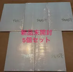 ALD1 少年BEAST Cementic Nest 新品未開封 5個セット