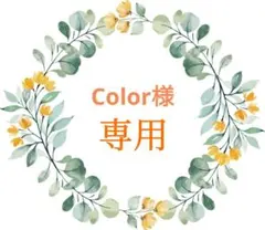 Color様 リクエスト 2点 まとめ商品