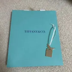 Tiffany & Co. 銀座本店限定 ショップ袋 チャーム付 - メルカリ