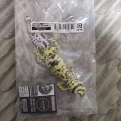 いきもの大図鑑アドバンス　レオパードゲッコー　バンディット