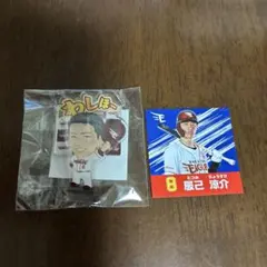 Item thumbnail for item 855b6073-ee8e-4367-86d8-0c2bc1798cbd