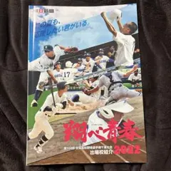 BBM2021 松坂大輔セット 平成の怪物 新品未開封ボックス 西武 