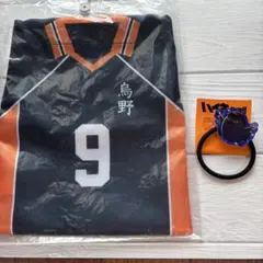 ハイキュー ヒナガラス