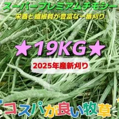 Item thumbnail for item 2037c60f-c8fb-4ce6-9a93-660fb2570e51