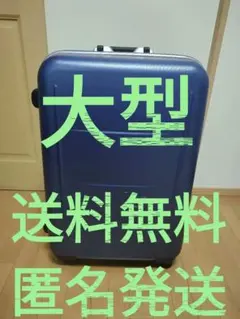 PROTECA Step Walker 0289303 ブルーグレー - メルカリ